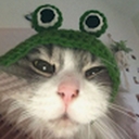 Avatar of user lleanthedog