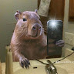 Avatar of user ricardomacea888