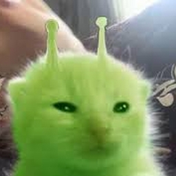 Avatar of user -⏁-⍜-☍-⟒-⋏-