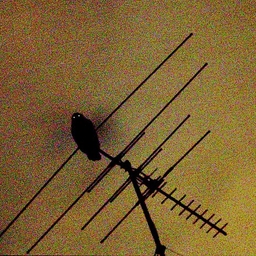 Avatar of user TheSpeedMan321