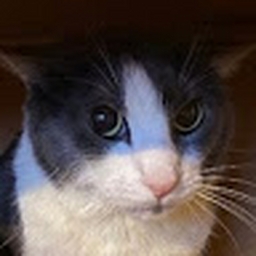 Avatar of user uuilbert