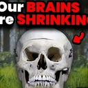 Cover of album Our Brains r Shrinking!!!! by xARKx