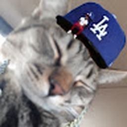 Avatar of user Larry111