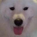 Avatar of user Illustrator58