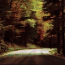 Cover of album rays piercing through trees by ecoxity