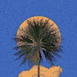 Avatar of user Jorgesevilla45