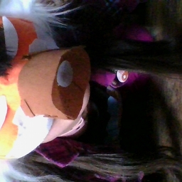 Avatar of user Ur_Average_Therian