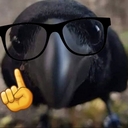 Avatar of user Crow_Wave