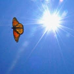 Avatar of user Yennyイェニー