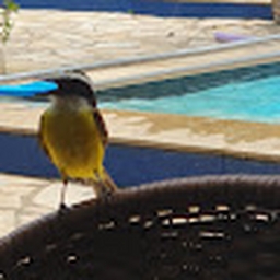 Avatar of user MiliVanilla