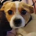 Avatar of user Mixerkickserbickxer