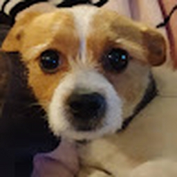 Avatar of user Mixerkickserbickxer