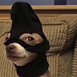 Avatar of user SOURKIDDD