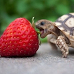 Avatar of user Akerr09