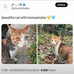 Avatar of user ⊑⏃⋉⟒⌰⋏⎍⏁