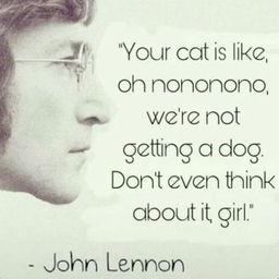 Avatar of user Dinkyonthebeat