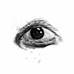 Avatar of user nazonazo