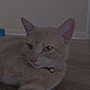 Avatar of user possetunes