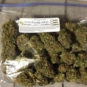 Avatar of user Yalfavgrlkey