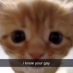 Avatar of user Blastyy_