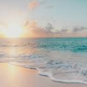 Avatar of user 2026Summer