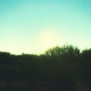 Avatar of user Elapse