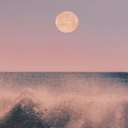 Avatar of user Mutt_Town