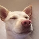 Avatar of user Noahisgoated