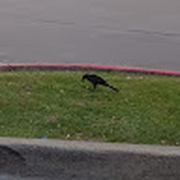 Avatar of user anore