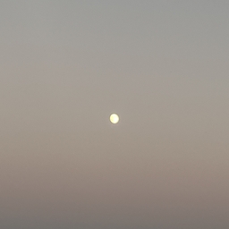 Avatar of user anodyne