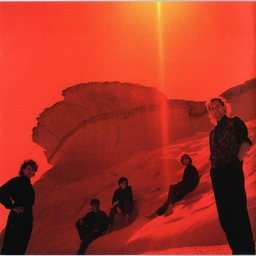 Avatar of user budgiemint