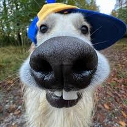 Avatar of user 100_jayy