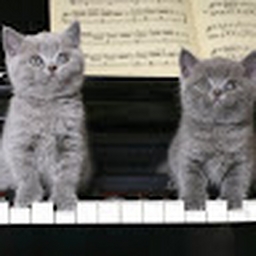 Avatar of user ErikaMV