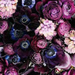 Avatar of user Giraffe0459