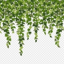 Avatar of user jacobp6767