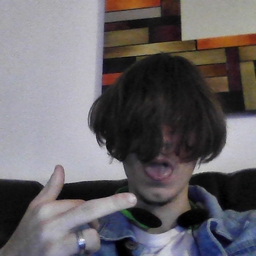 Avatar of user Lil Peeps,jr