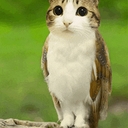 Avatar of user Chris! ^_^