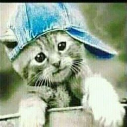 Avatar of user star4jellies