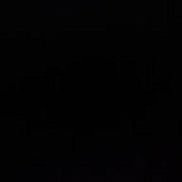 Avatar of user VizZyOne