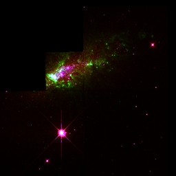 Avatar of user emilyy.nicolee