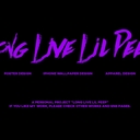 Cover of album CÅSTLES III  by Lil Peeps,jr ⭐