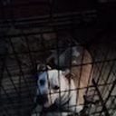 Avatar of user ascmtothemax