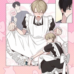 Avatar of user elysian