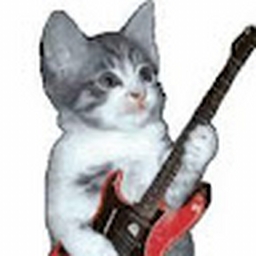 Avatar of user rayray746427835