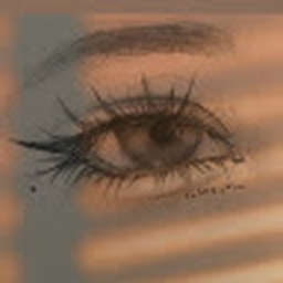 Avatar of user Theporcelaindeer