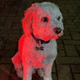 Avatar of user Alph4R3d