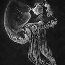 Avatar of user GriMShogun