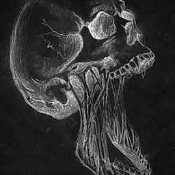 Avatar of user GriMShogun