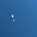 Avatar of user Vixslower