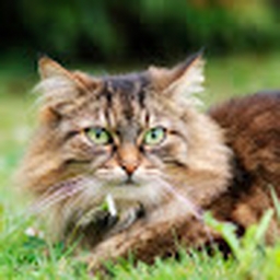 Avatar of user 1996-2021